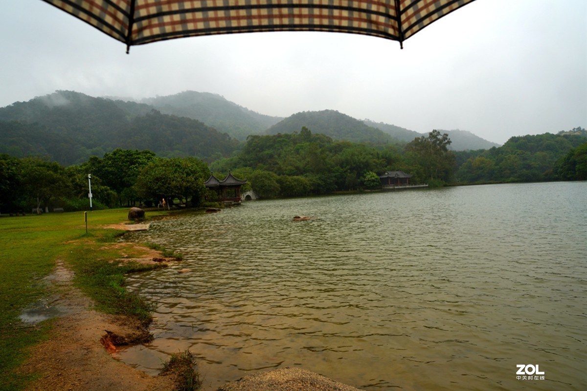 细雨赏景