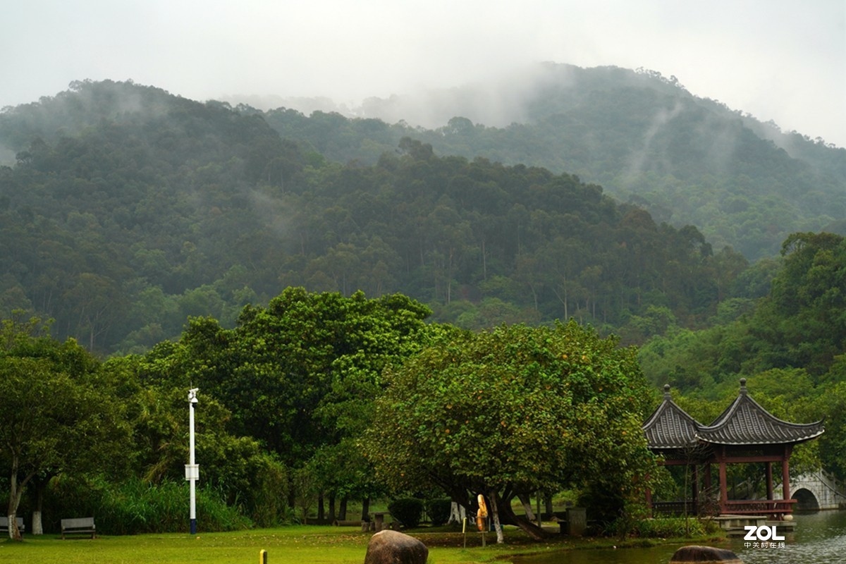 细雨赏景