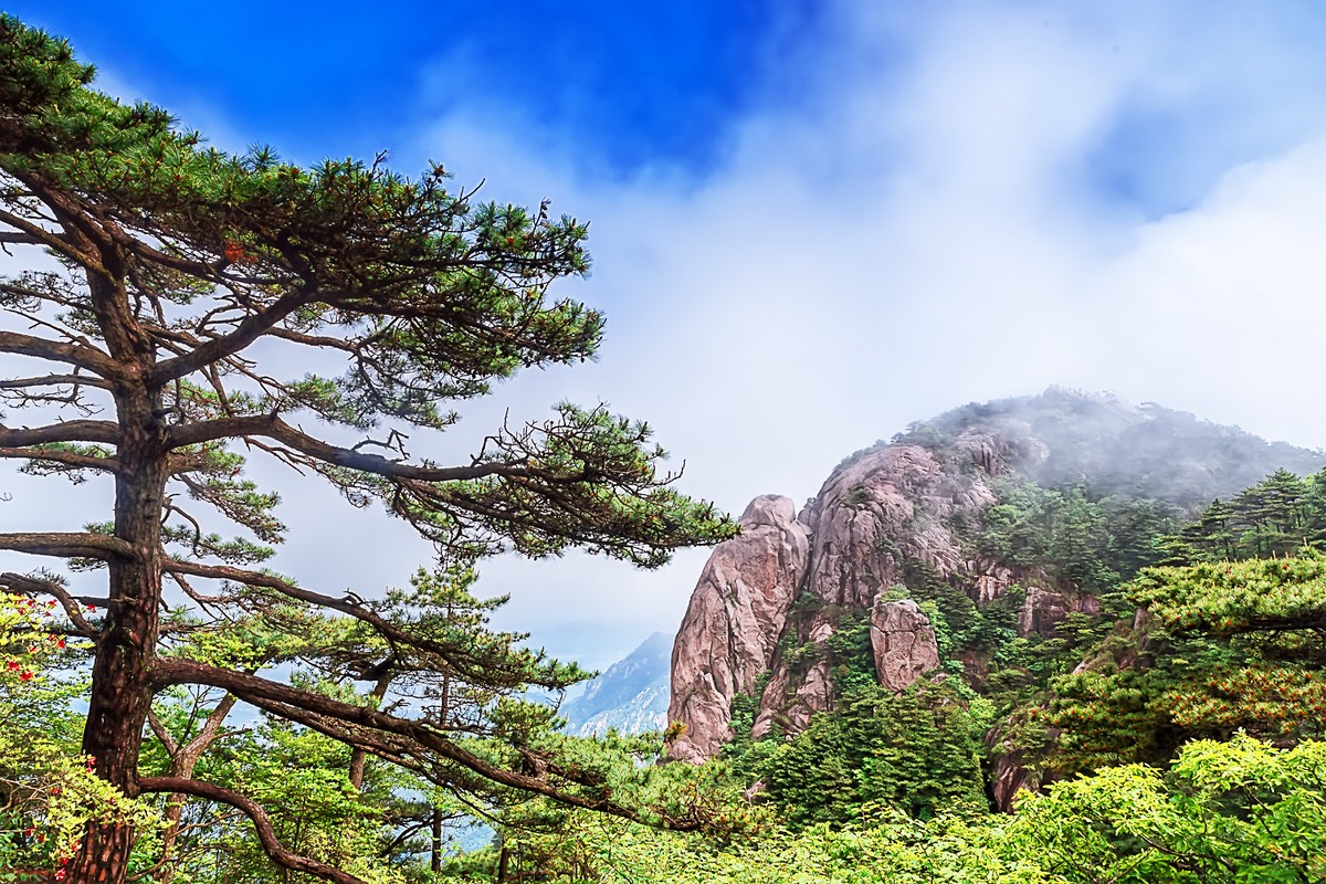 江南行  （28） 《九华山龙台风光》