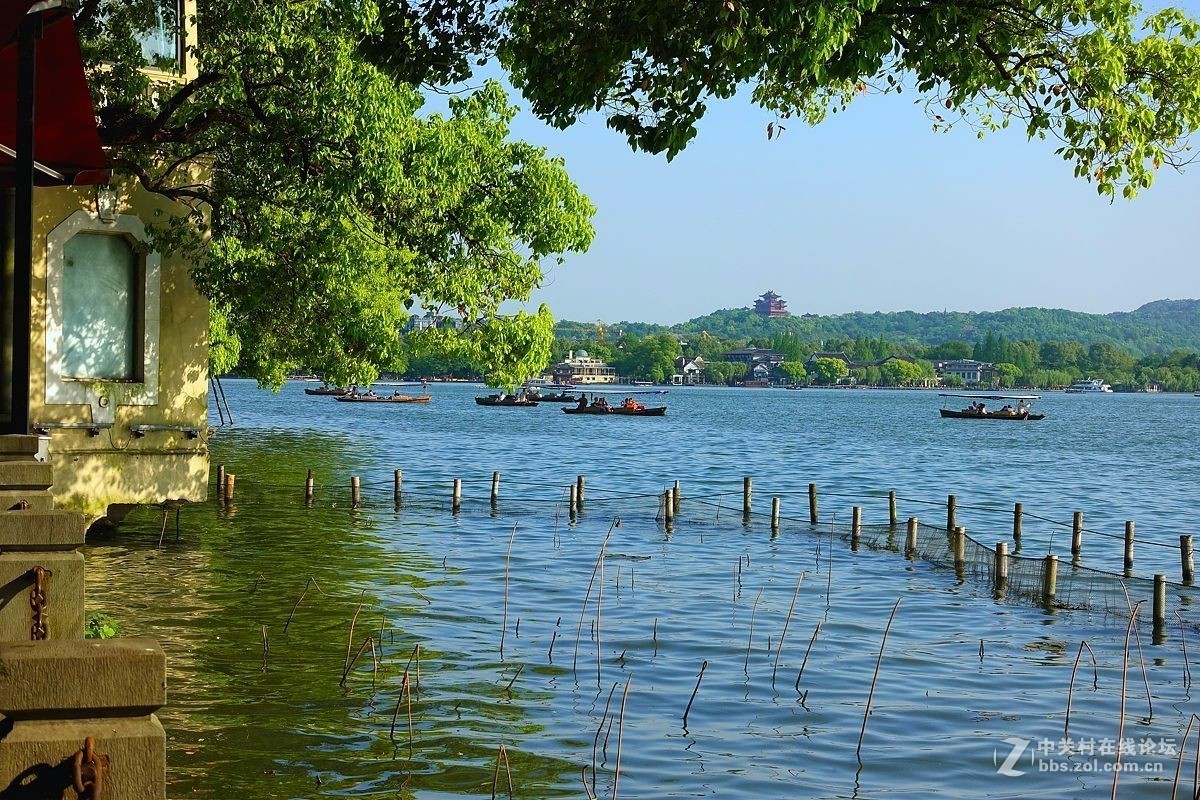 西子湖畔