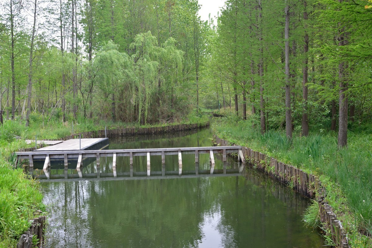 江蘇省姜堰市溱湖溼地公園