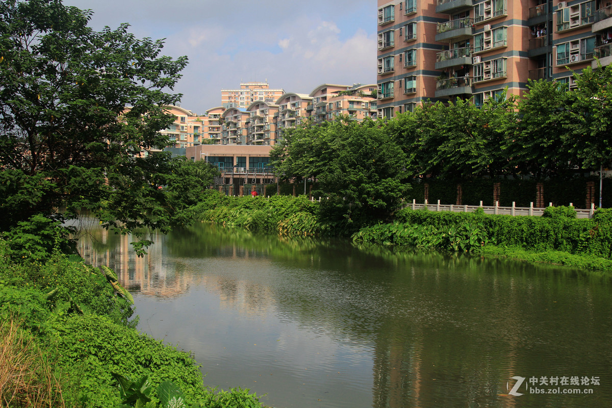 小区边的小河三