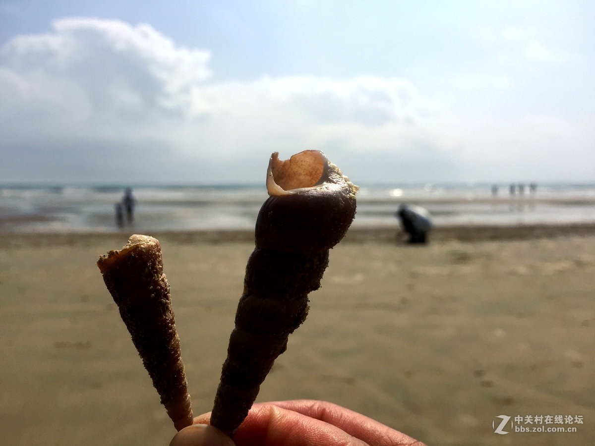 2019春节 两广行（52）在金滩  遇到海市蜃楼