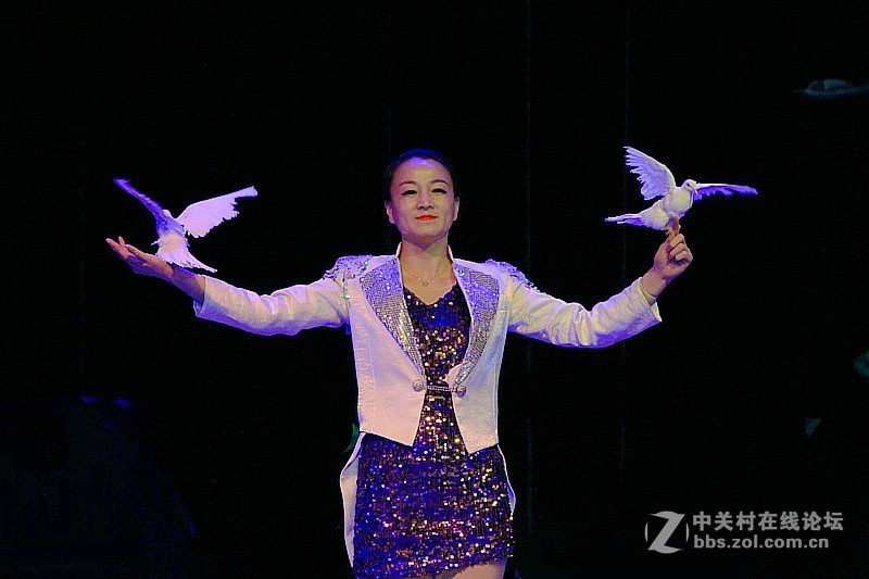 吳桥杂技大世界：魔木：变鸽！