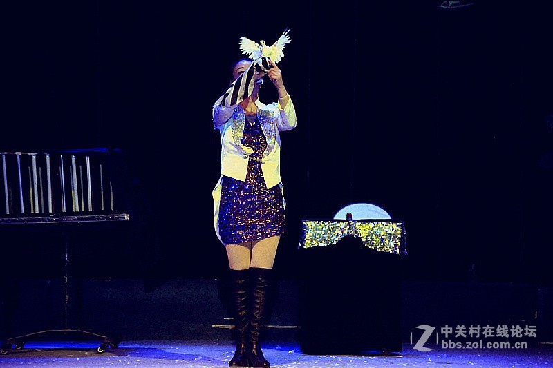 吳桥杂技大世界：魔木：变鸽！