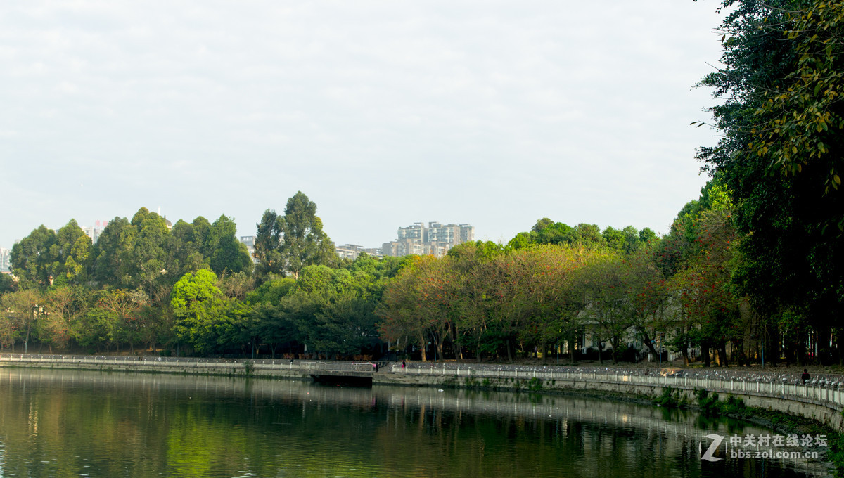 华阳维也纳森林公园图片