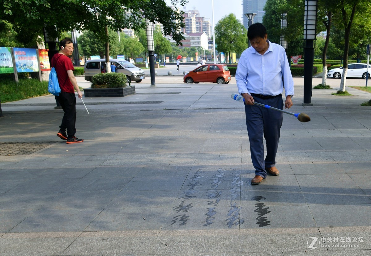 我的d850[24] 公园随拍