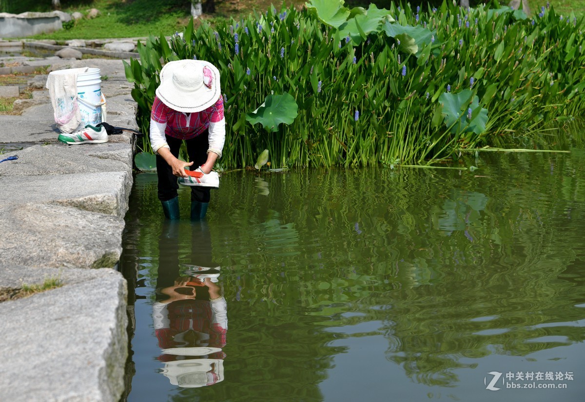 我的d850[24] 公园随拍