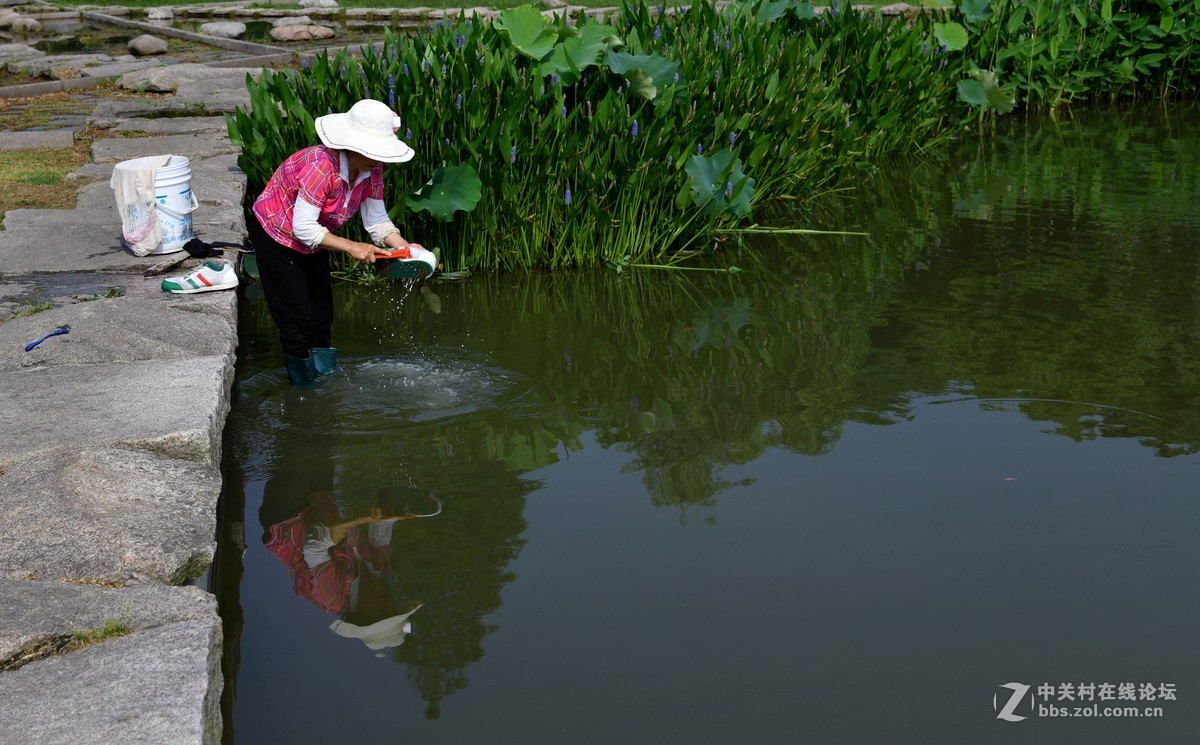 我的d850[24] 公园随拍