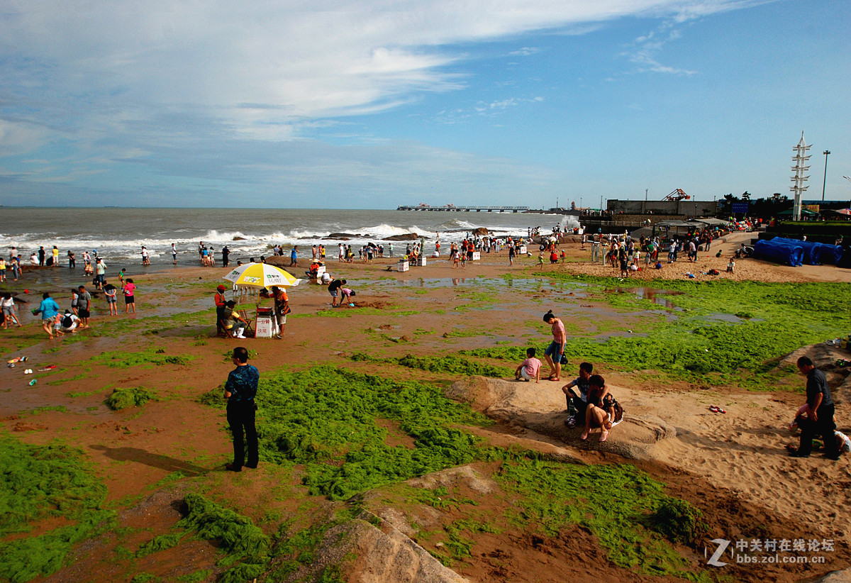 山海天旅游度假区海滨全景图