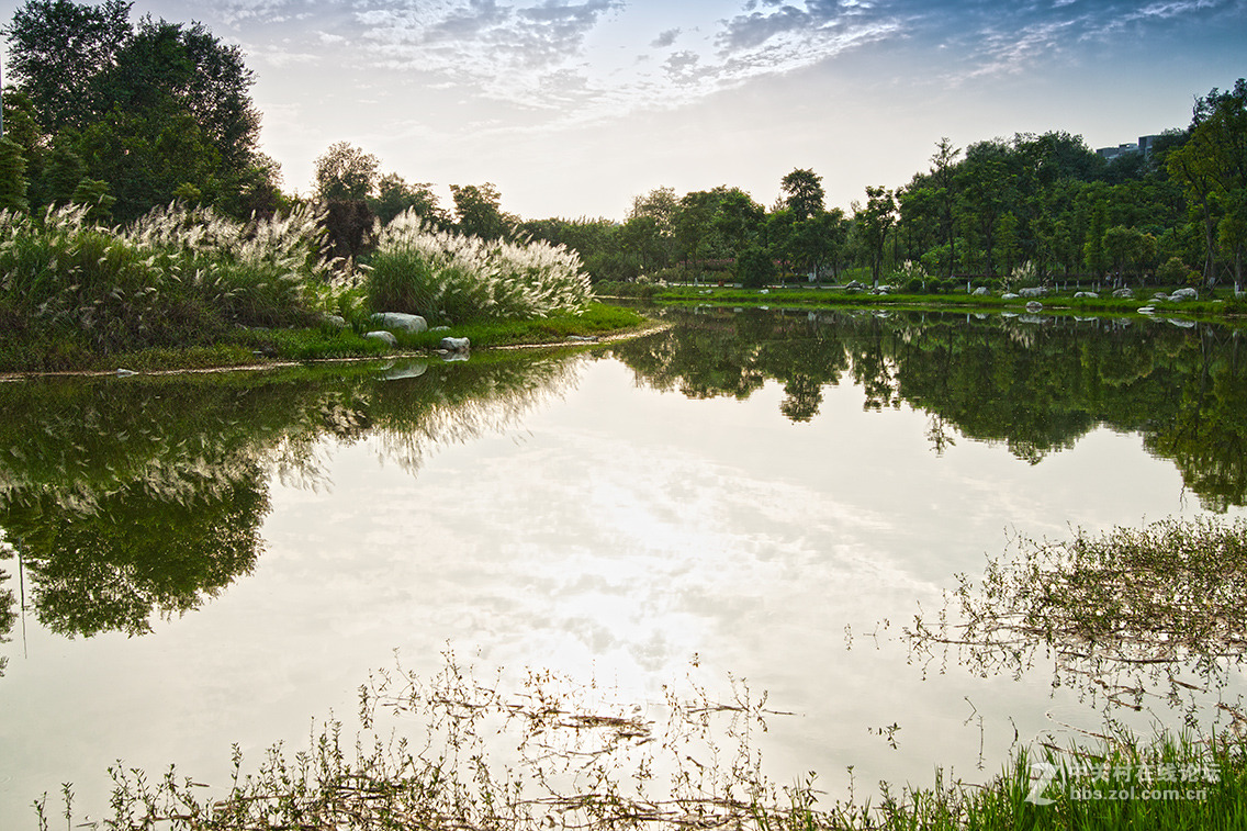 适马24-1.4新头试拍