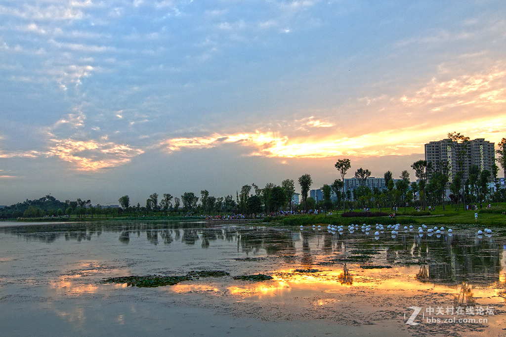 适马24-1.4新头试拍