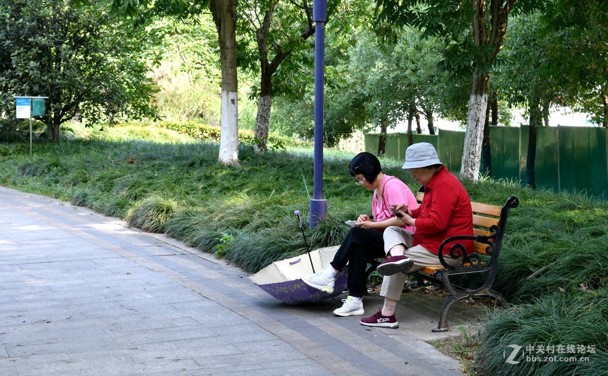 我的d850[24] 公园随拍