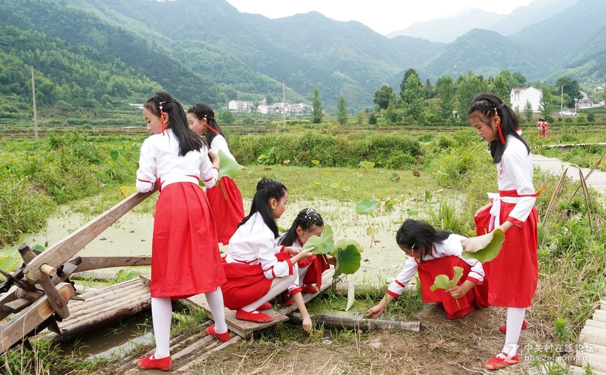 田埂上的风景线-中关村在线摄影论坛