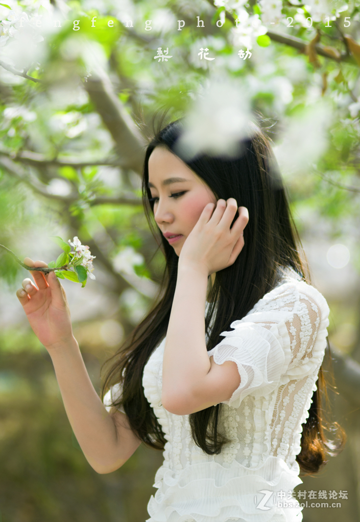 小钢炮人像一组--------梨花劫