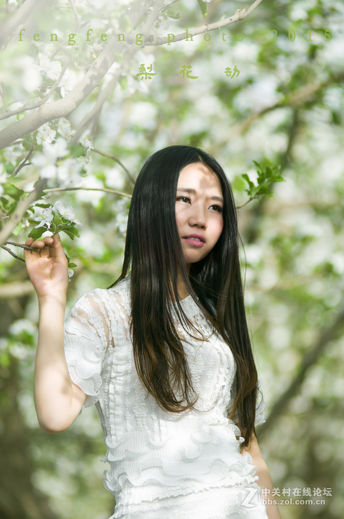 小钢炮人像一组--------梨花劫