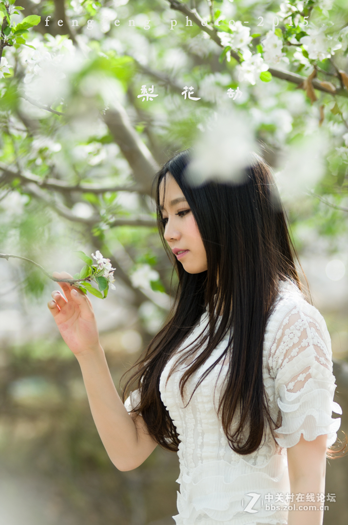 小钢炮人像一组--------梨花劫