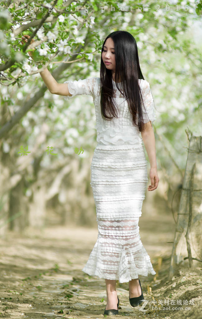 小钢炮人像一组--------梨花劫