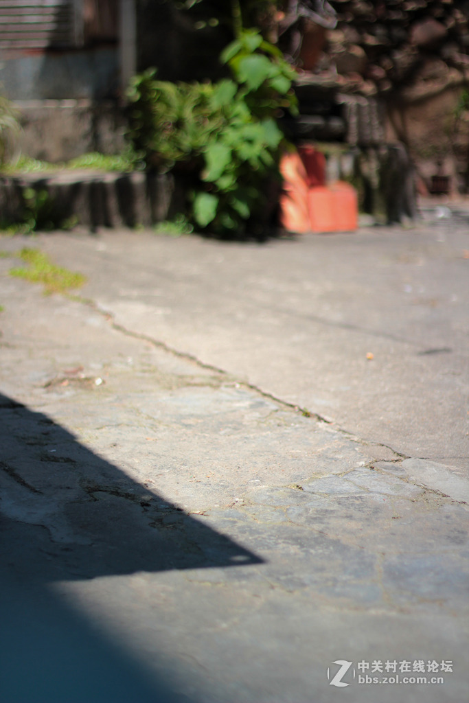 雜到不能再雜50定組圖