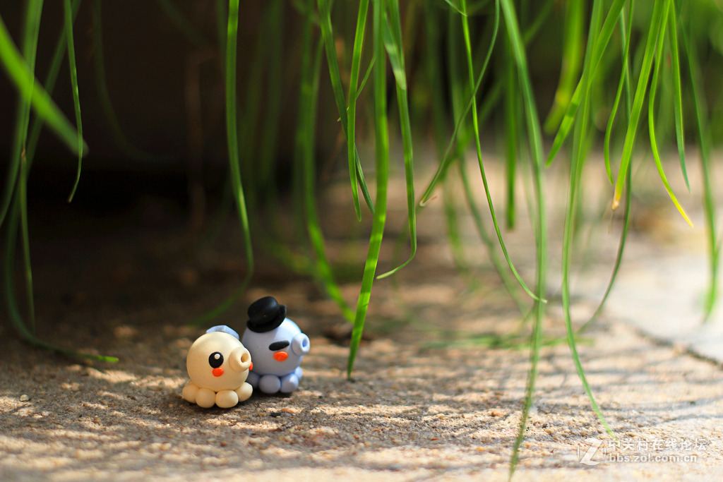 雜到不能再雜50定組圖