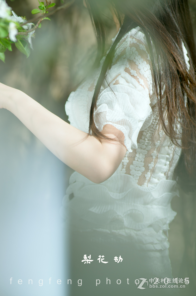 小钢炮人像一组--------梨花劫