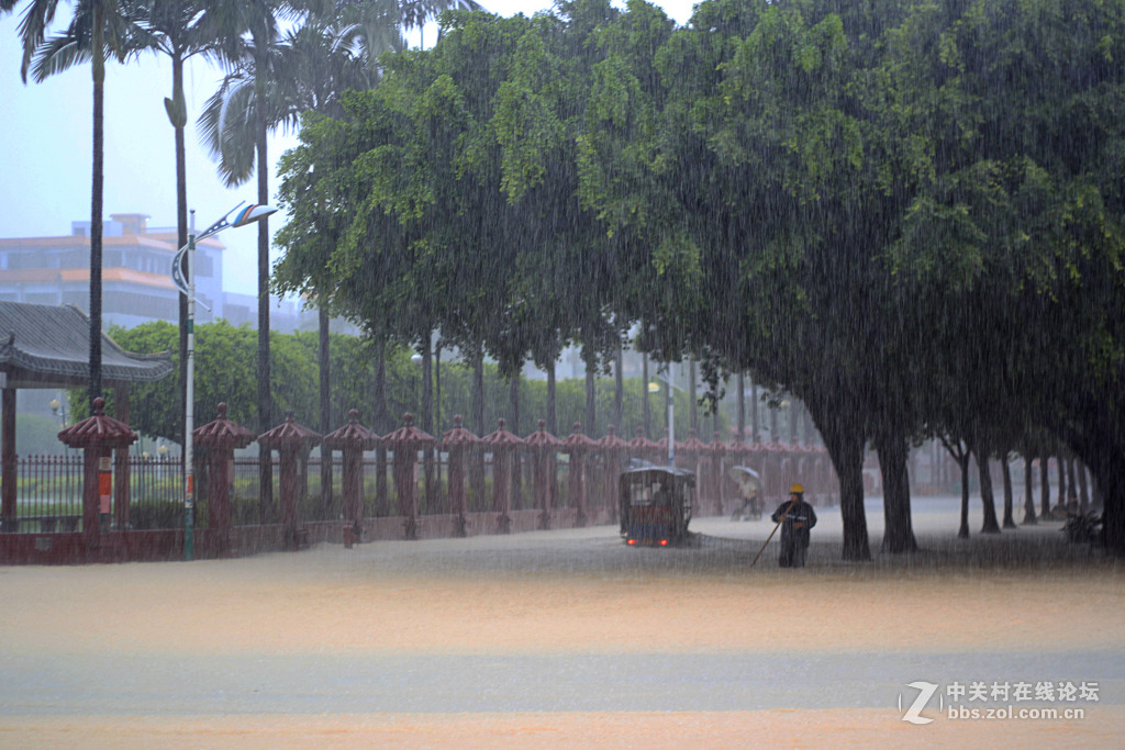 雜到不能再雜50定組圖