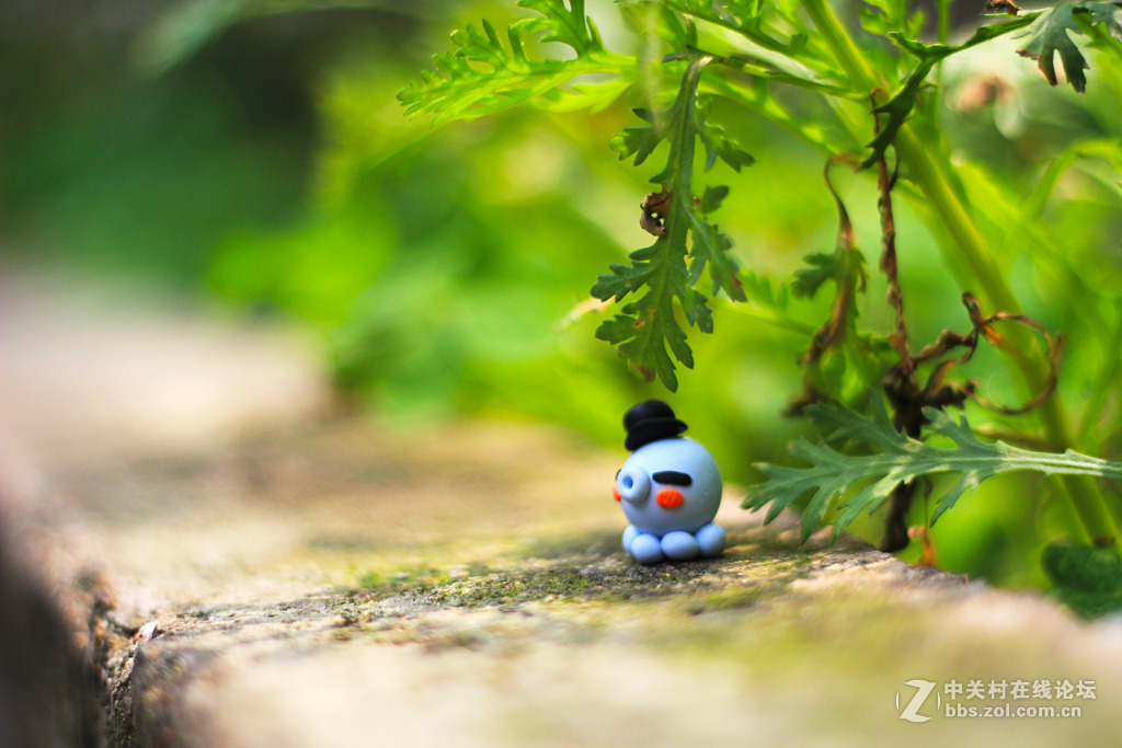 雜到不能再雜50定組圖