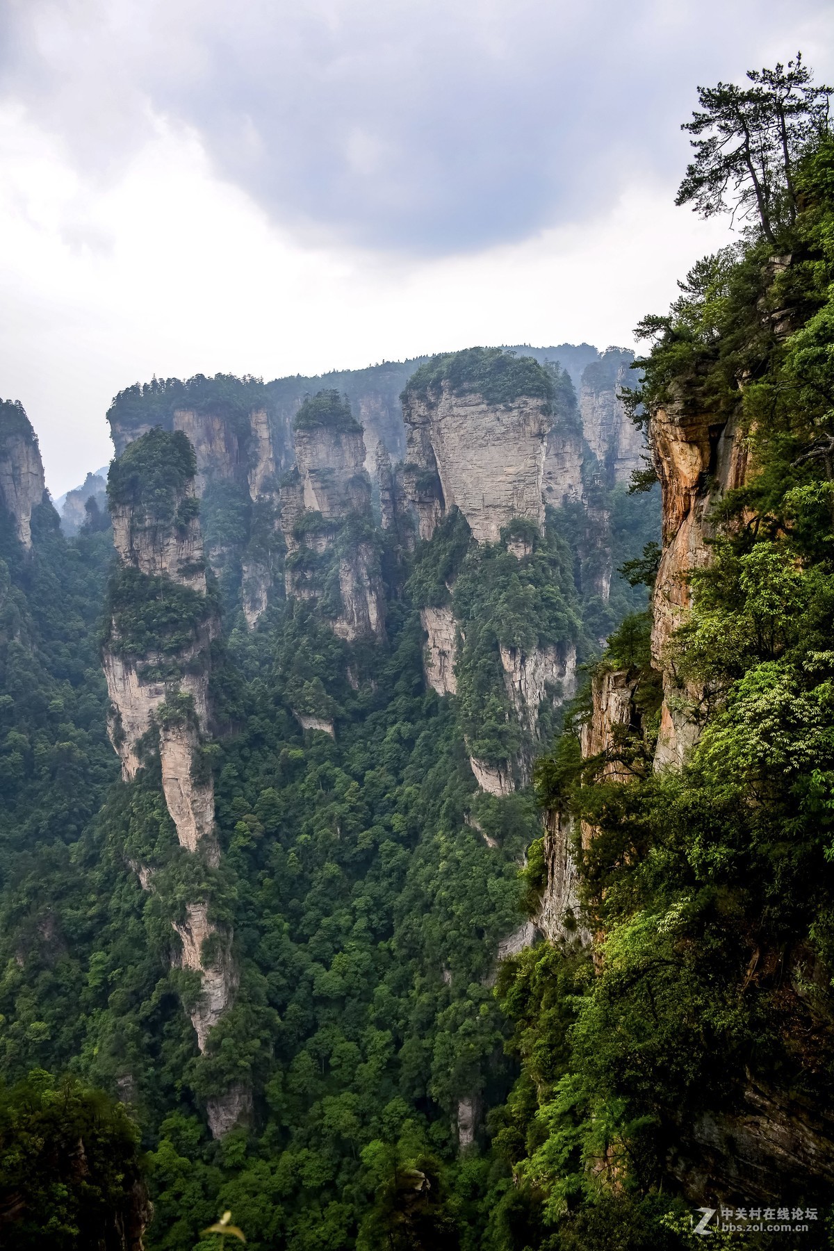张家界·袁家岭风景