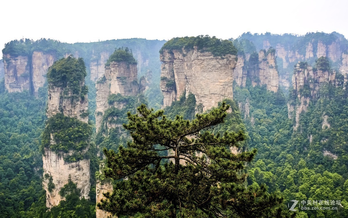 张家界·袁家岭风景