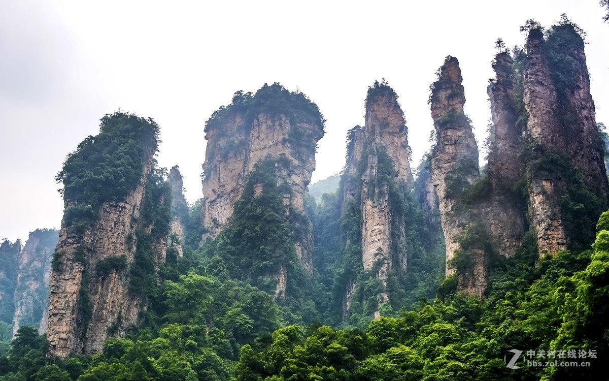 张家界·袁家岭风景