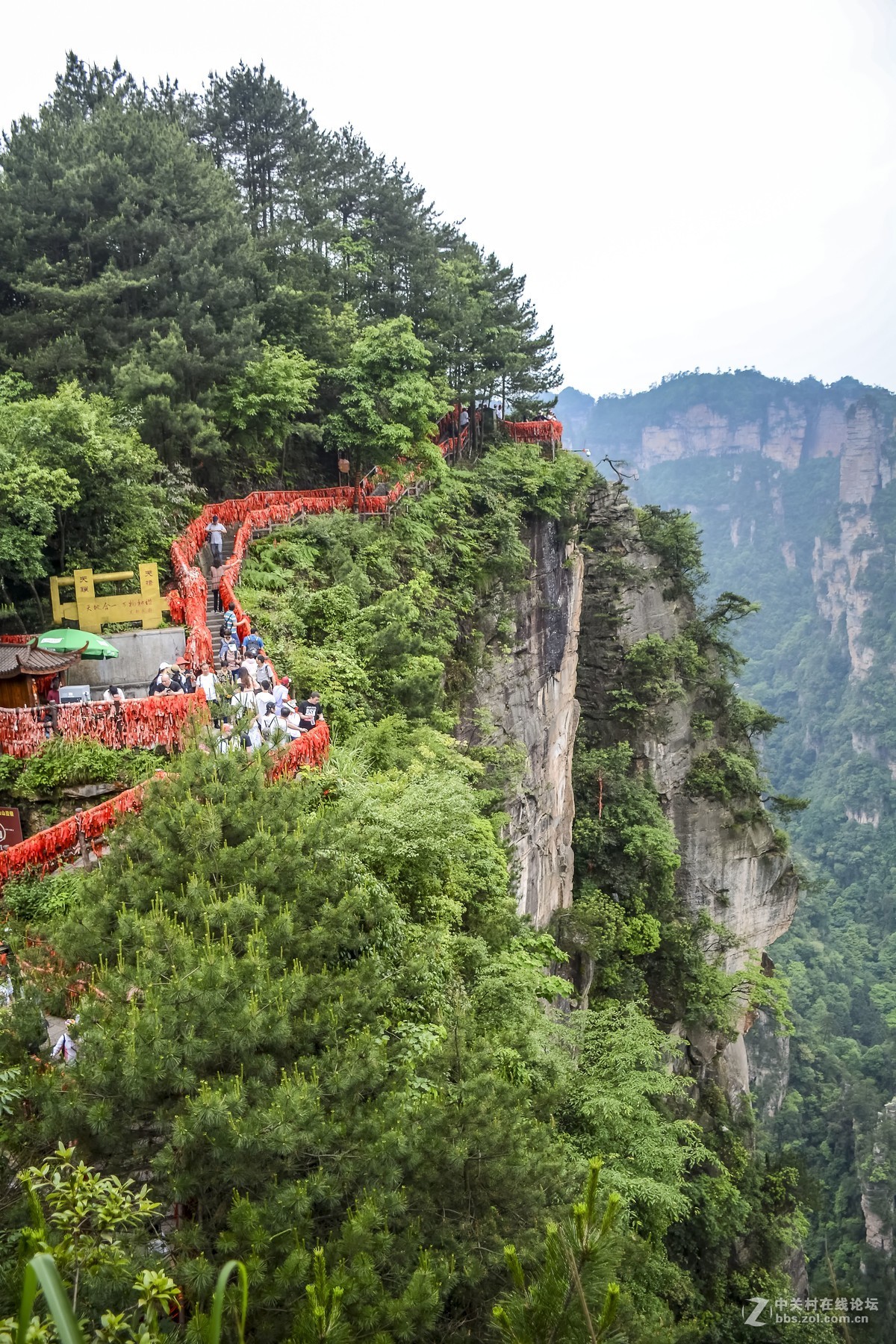 张家界·袁家岭风景