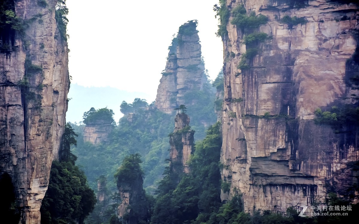张家界·袁家岭风景
