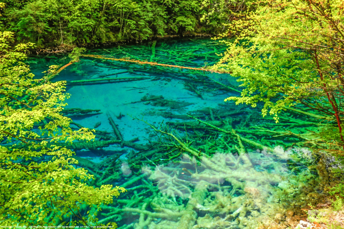童话世界--九寨沟