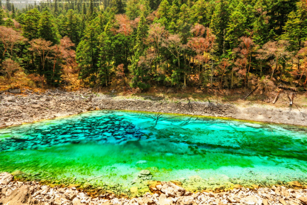 童话世界--九寨沟