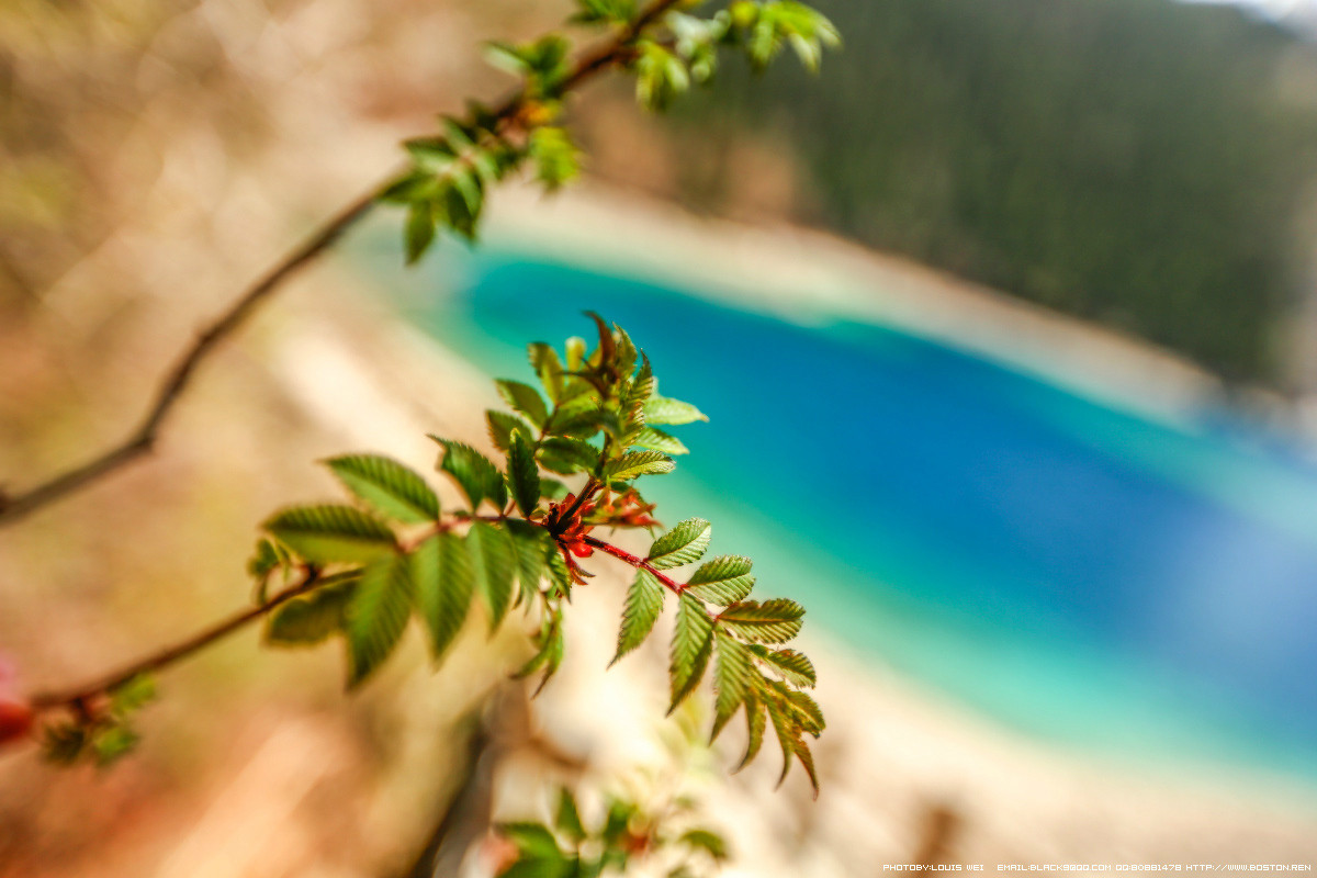 童话世界--九寨沟