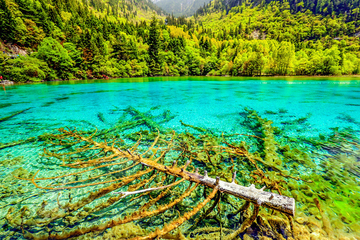 童话世界--九寨沟