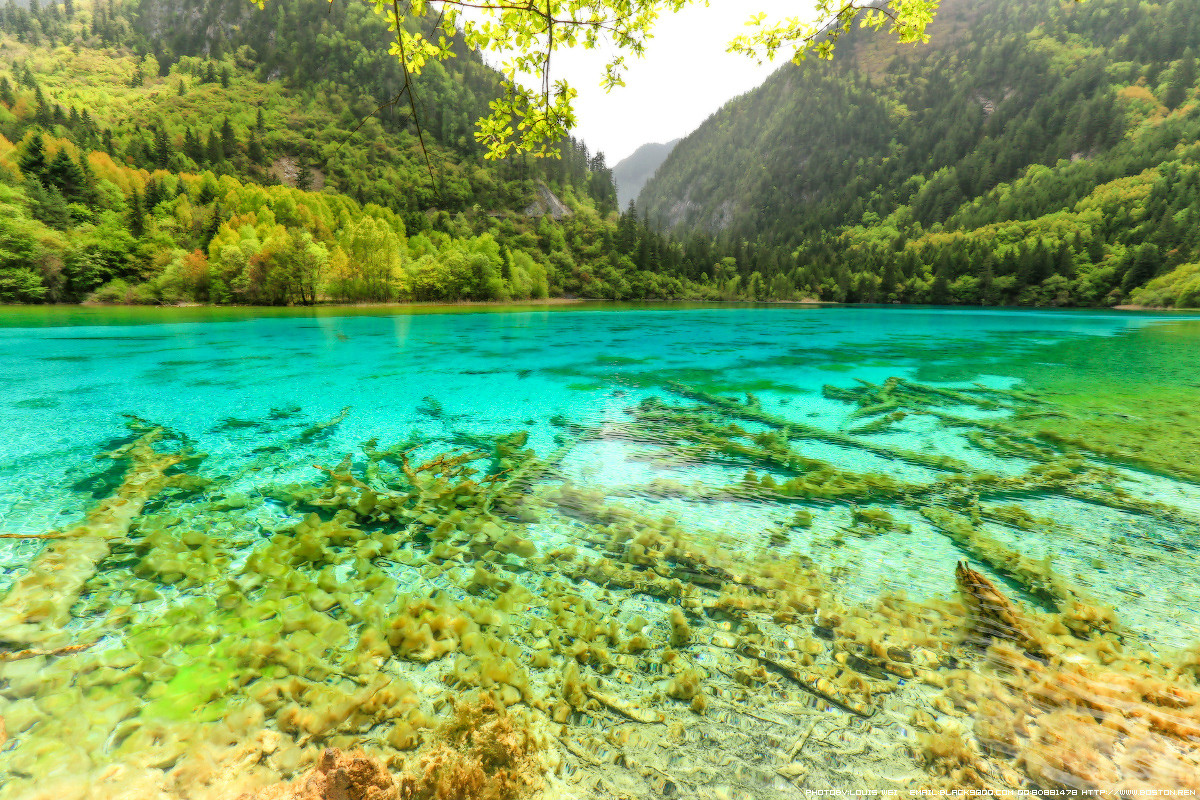 童话世界--九寨沟