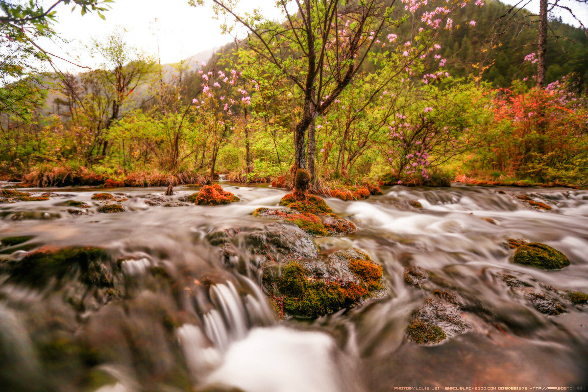 童话世界--九寨沟