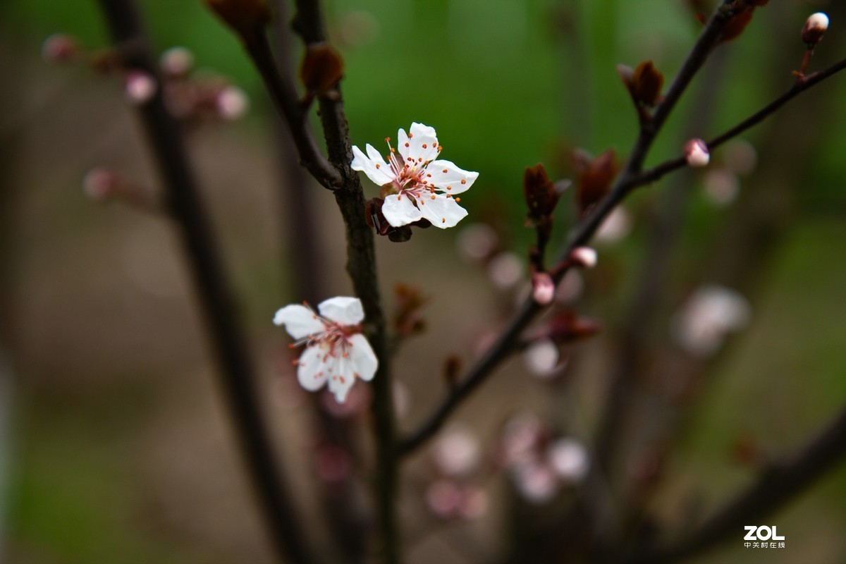 菜园地里找乐趣