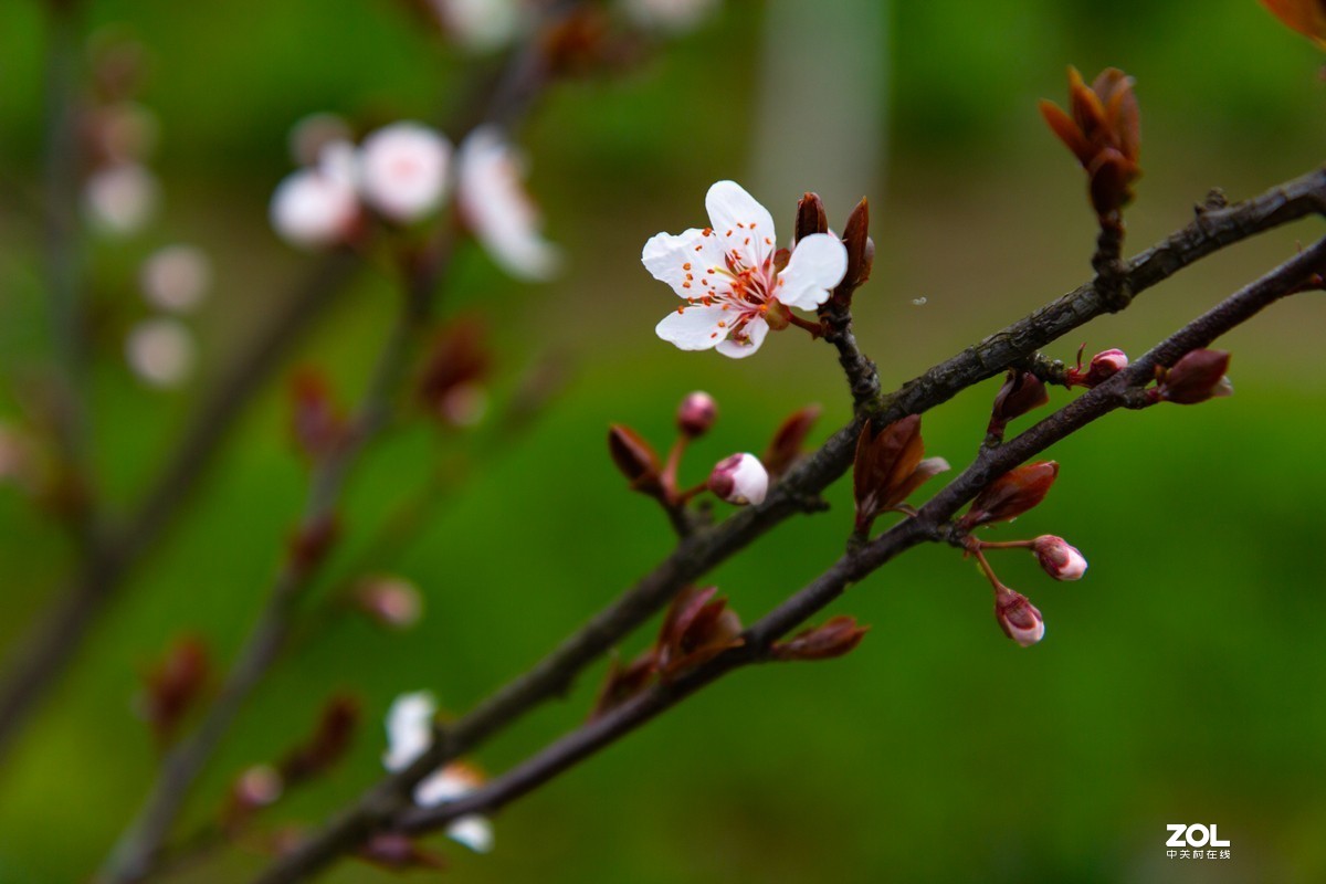 菜园地里找乐趣