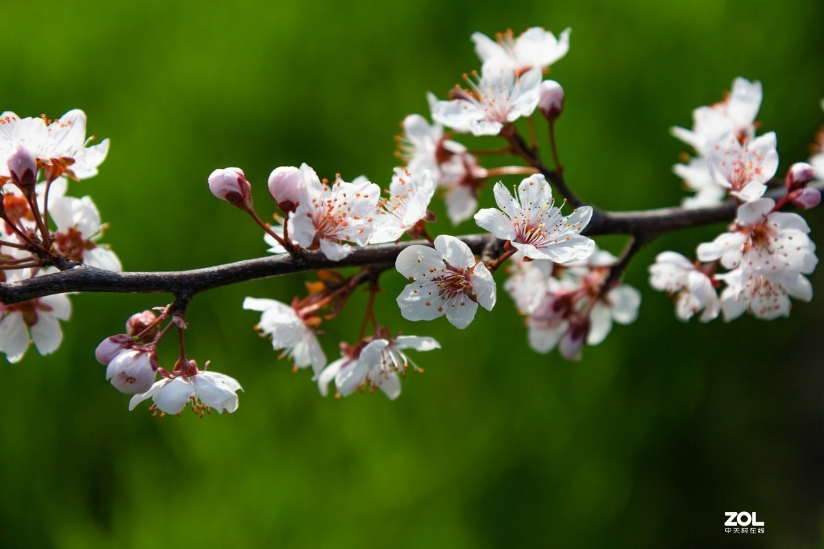 菜园地里找乐趣