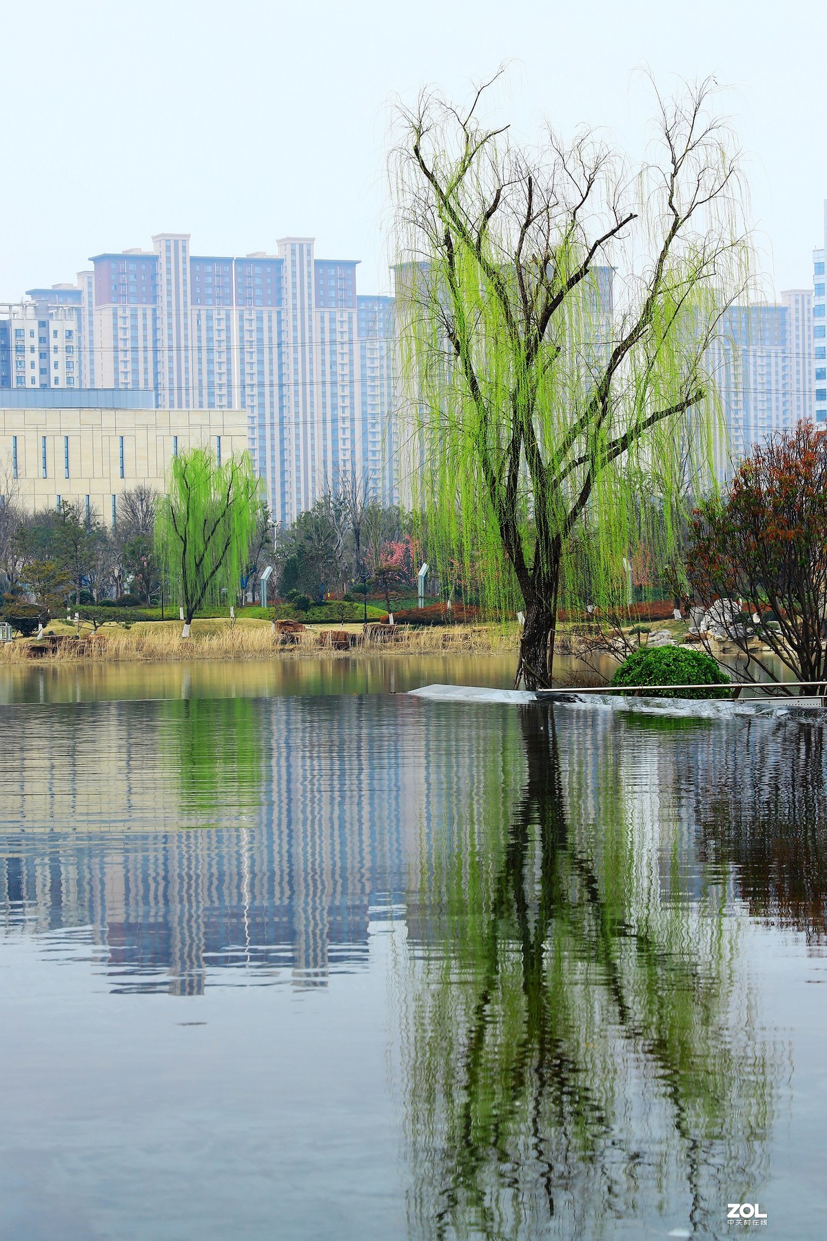 春天拍城市公园