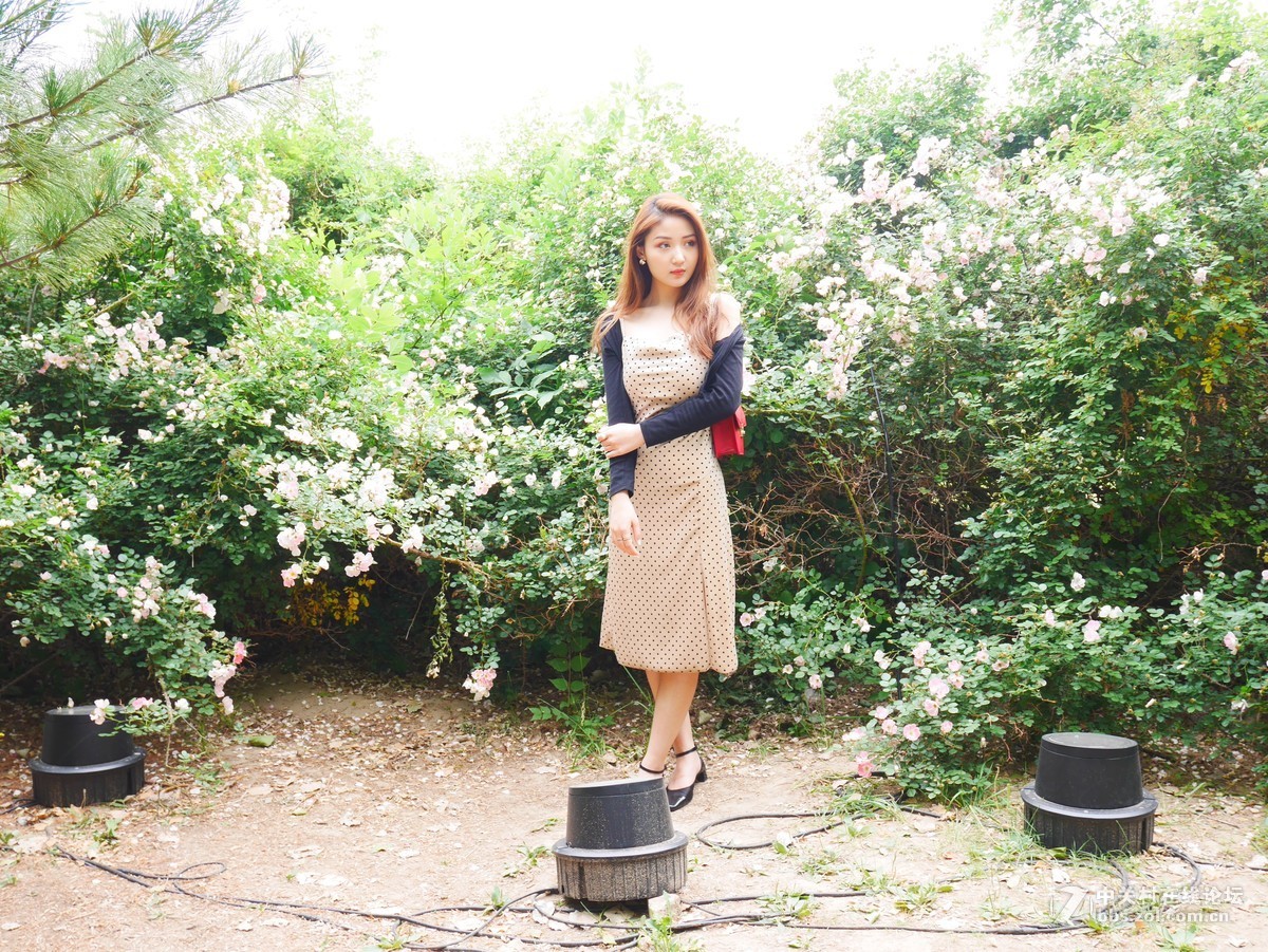 #夏天在哪里# 夏天就在我的镜头里