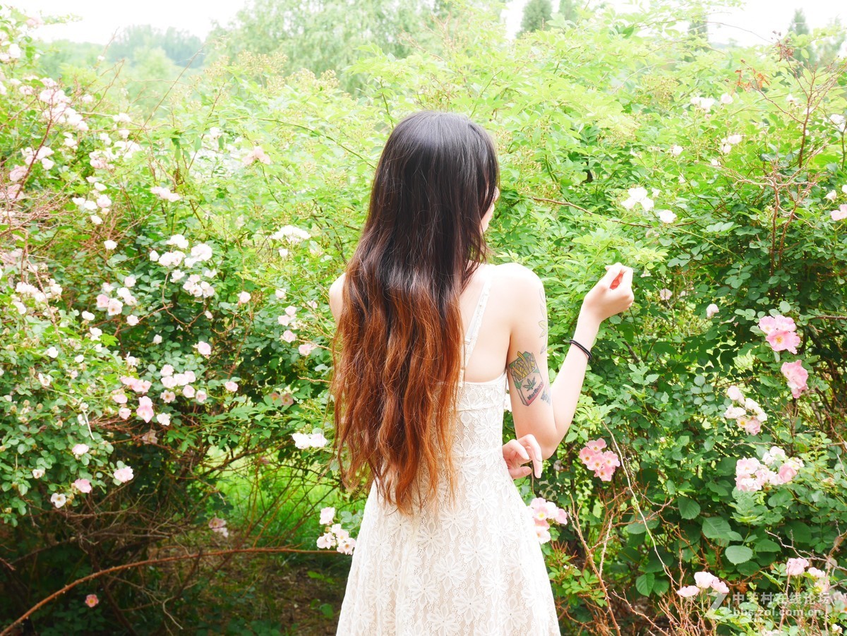 #夏天在哪里# 夏天就在我的镜头里