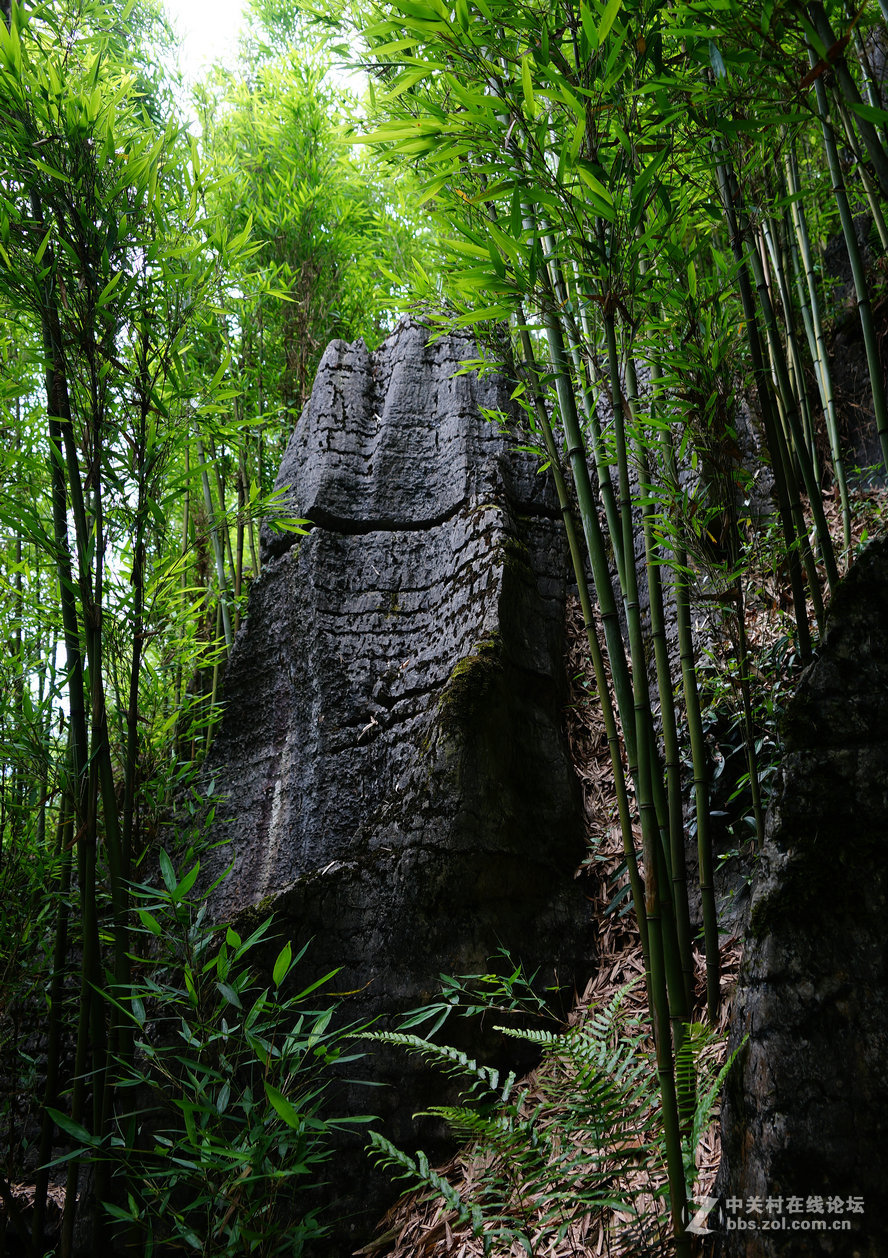 都江堰有什么好玩的旅游景点|四川一处“小众景区”走红，面积118平方公里，景点400余处
