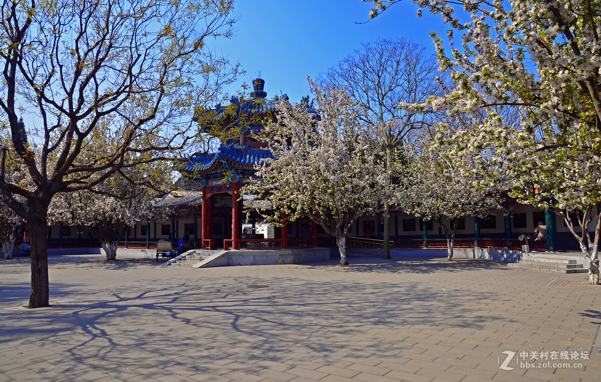 北京中山公園