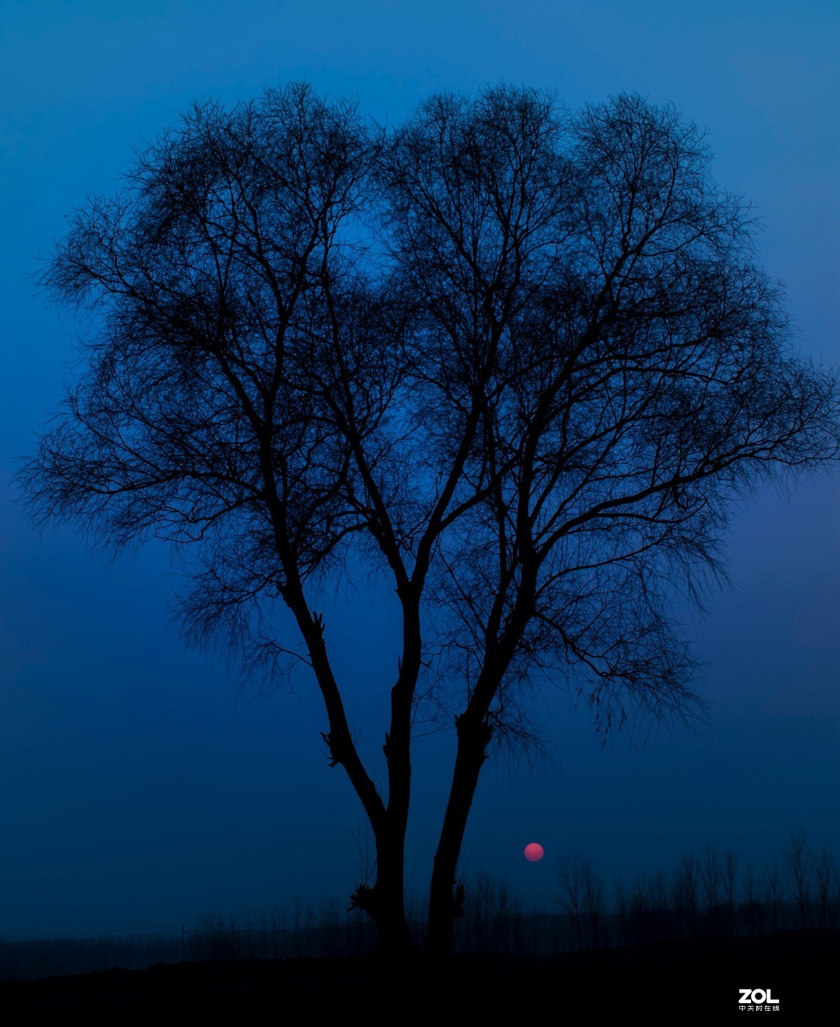 春节回家的收获！