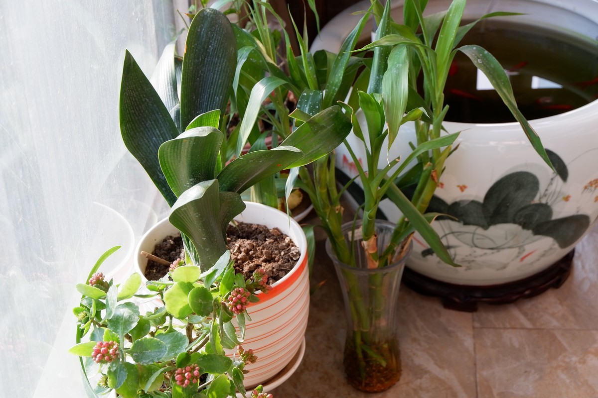 年前咸鱼入手准新机，多年没玩了，试一把！