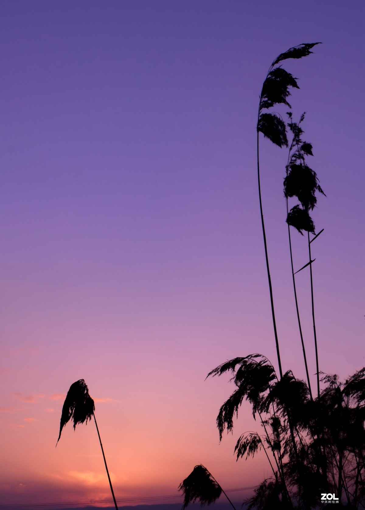 春节回家的收获！