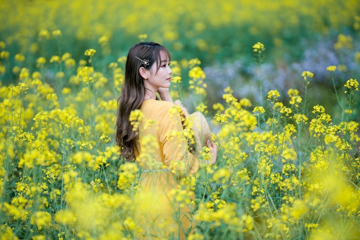 馨香沁怀